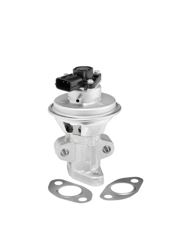 Válvula EGR BorgWarner (Wahler) 712063D