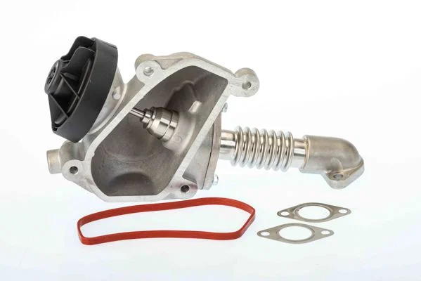 EGR Valve BorgWarner (Wahler) 7206D