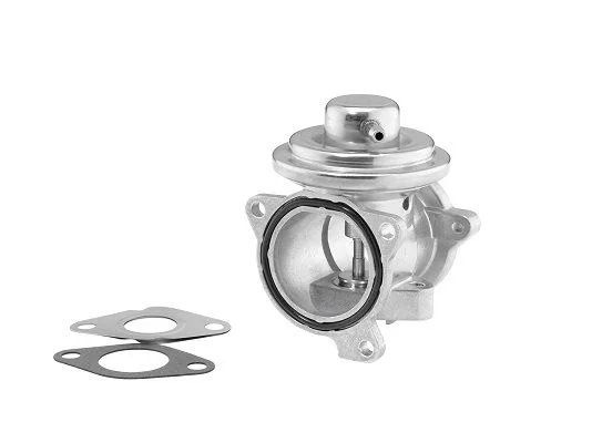 Válvula EGR BorgWarner (Wahler) 7271D