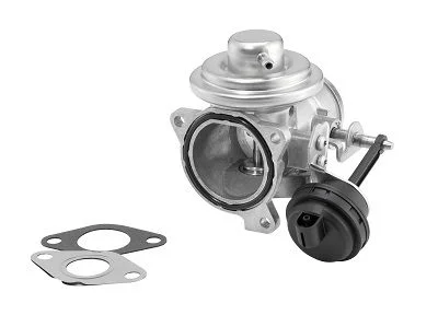 Válvula EGR BorgWarner (Wahler) 7283D/1