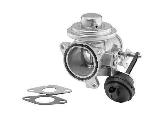 Válvula EGR BorgWarner (Wahler) 7293D/1