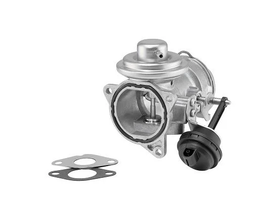 Válvula EGR BorgWarner (Wahler) 7371D