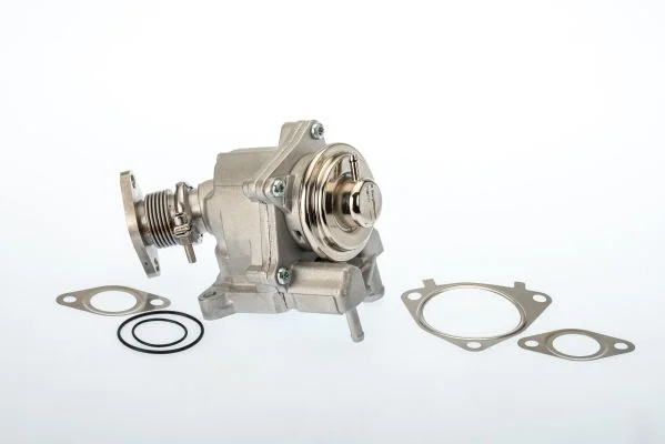 Válvula EGR BorgWarner (Wahler) 7631D/1
