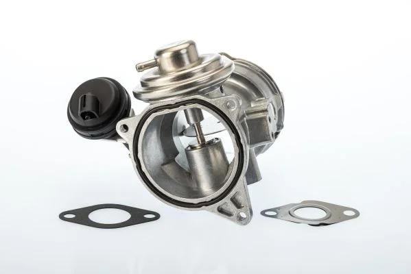 Válvula EGR BorgWarner (Wahler) 7649D