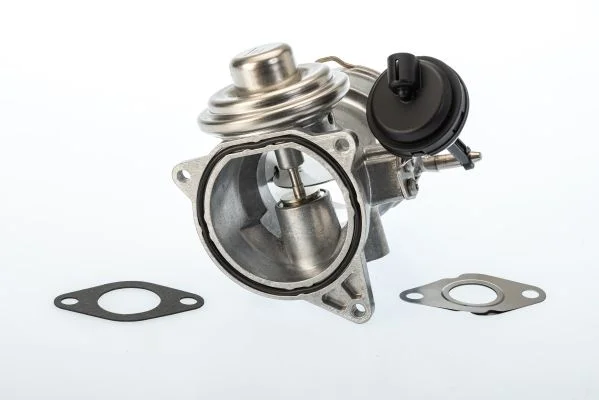 Válvula EGR BorgWarner (Wahler) 7650D