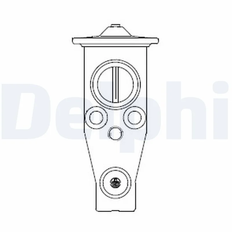 Expansion Valve, air conditioning DELPHI CB1017V
