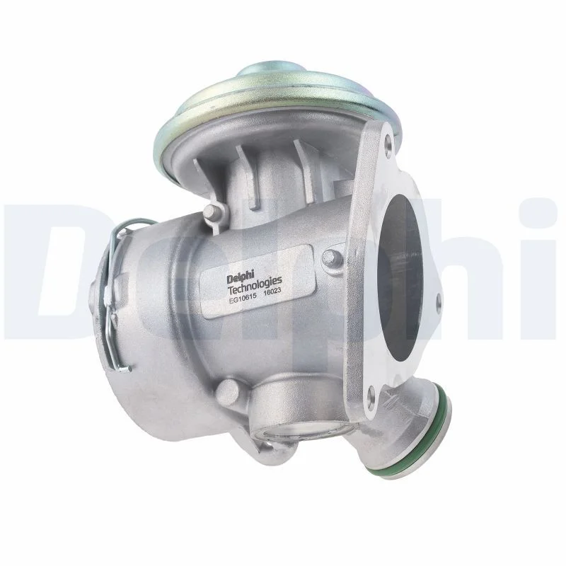EGR Valve DELPHI EG10615-12B1