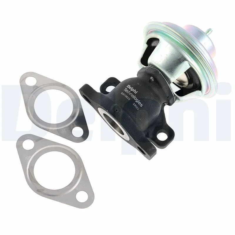 Válvula EGR DELPHI EG10623-12B1