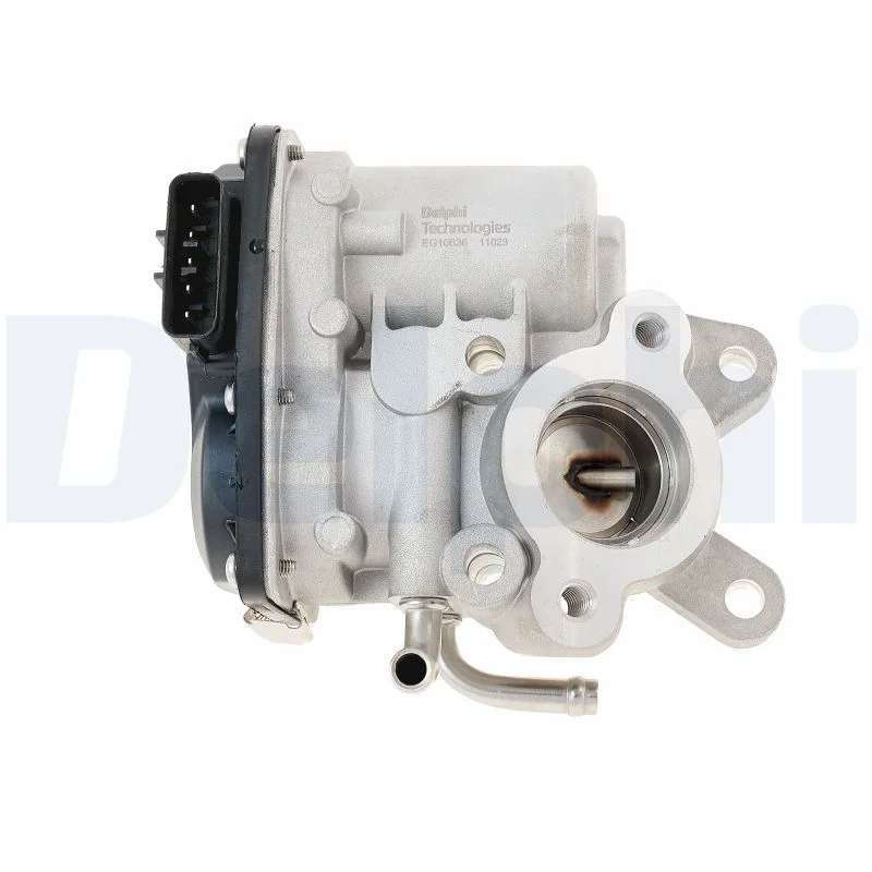 EGR Valve DELPHI EG10636-12B1