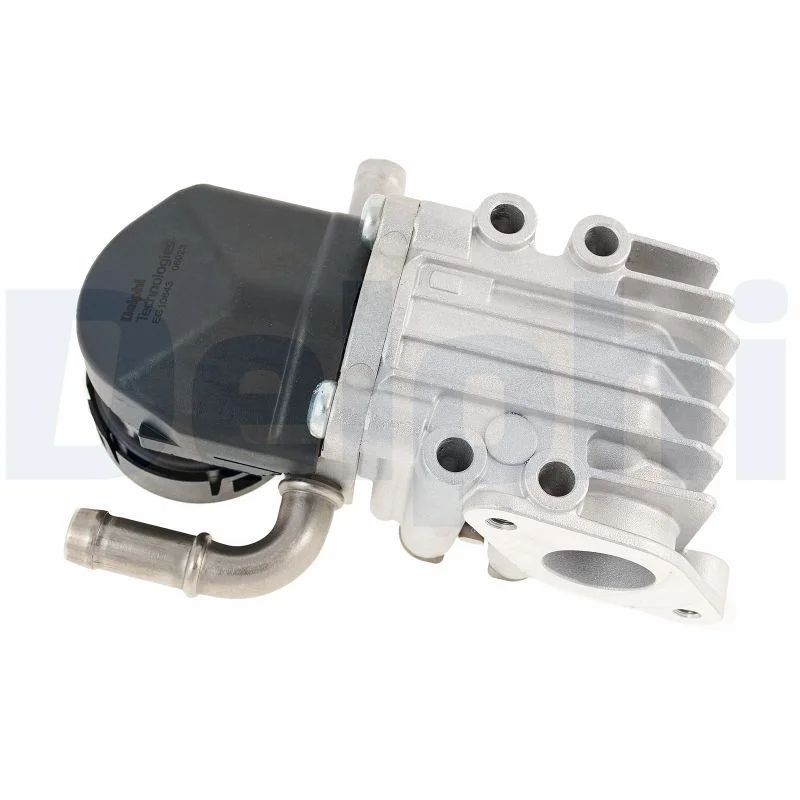 EGR Valve DELPHI EG10643-12B1
