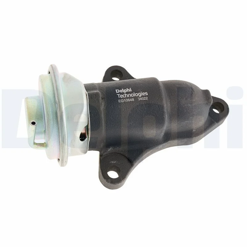 EGR Valve DELPHI EG10648-12B1