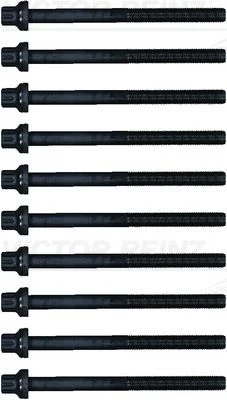 Conjunto de parafusos da cabeça do cilindro VICTOR REINZ 14-55095-01