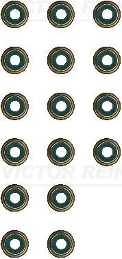 Conjunto de Vedação, haste da válvula VICTOR REINZ 12-17719-01