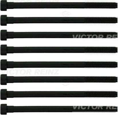 Conjunto de parafusos da cabeça do cilindro VICTOR REINZ 14-10276-02