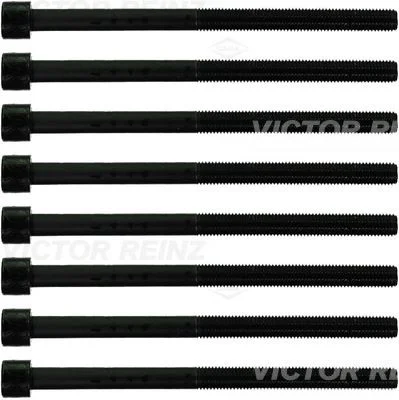 Conjunto de parafusos da cabeça do cilindro VICTOR REINZ 14-10882-01