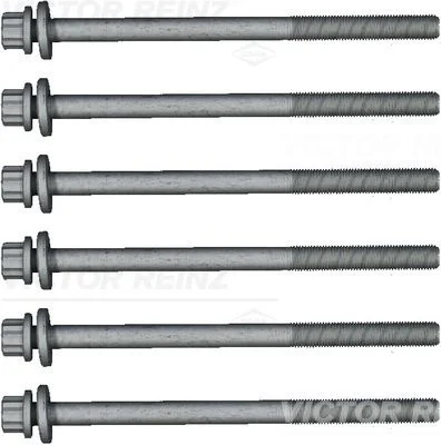 Conjunto de parafusos da cabeça do cilindro VICTOR REINZ 14-11012-01