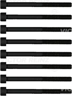 Conjunto de parafusos da cabeça do cilindro VICTOR REINZ 14-11605-01