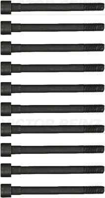 Conjunto de parafusos da cabeça do cilindro VICTOR REINZ 14-12791-01
