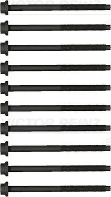 Conjunto de parafusos da cabeça do cilindro VICTOR REINZ 14-20348-01