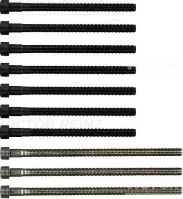 Conjunto de parafusos da cabeça do cilindro VICTOR REINZ 14-32185-02