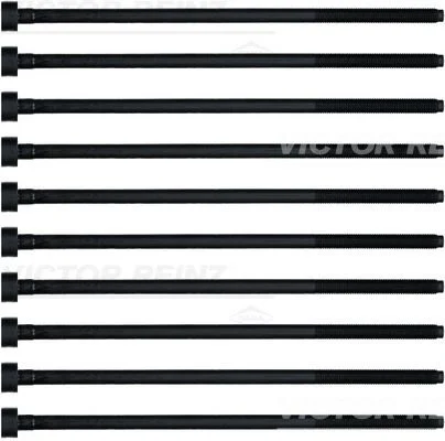Conjunto de parafusos da cabeça do cilindro VICTOR REINZ 14-32220-01