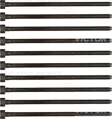 Conjunto de parafusos da cabeça do cilindro VICTOR REINZ 14-32221-01