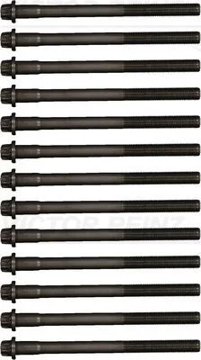 Conjunto de parafusos da cabeça do cilindro VICTOR REINZ 14-32300-01