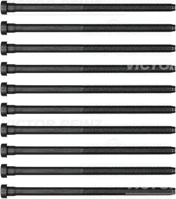 Conjunto de parafusos da cabeça do cilindro VICTOR REINZ 14-32384-01