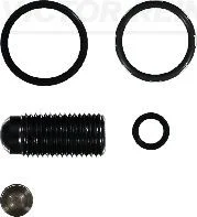 Kit de Reparo, unidade injetora VICTOR REINZ 15-42119-01