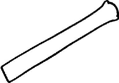 Gasket, cylinder head cover VICTOR REINZ 71-52619-00