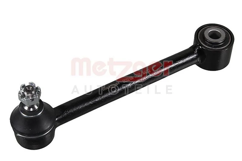 273 METZGER 58202109