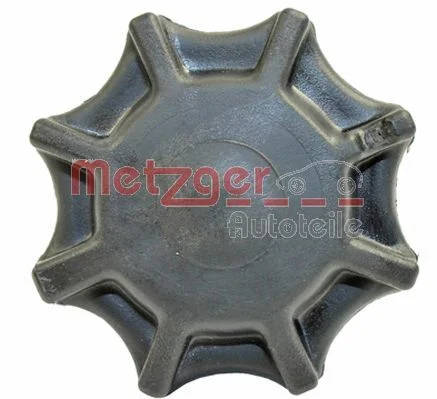 3790 METZGER 2140155