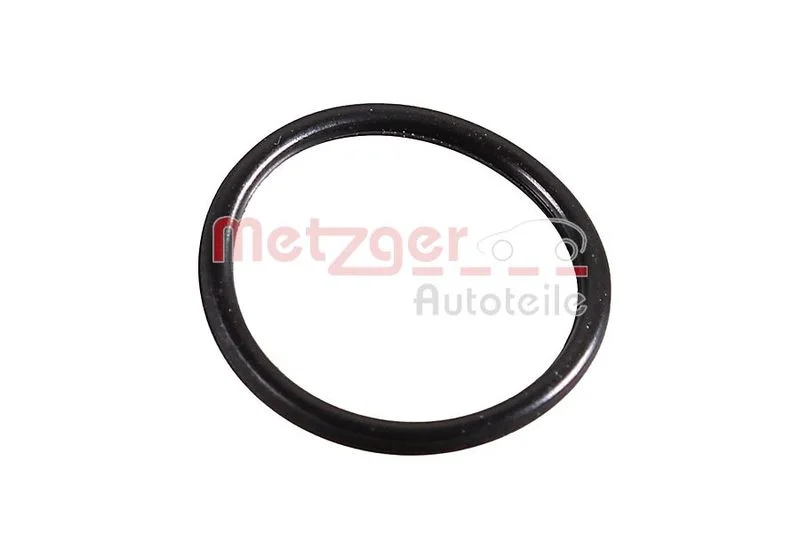 Seal Ring METZGER 2430095