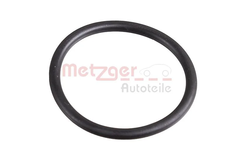 Seal Ring METZGER 2430102