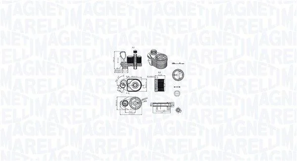 Arrefecedor de óleo, óleo do motor MAGNETI MARELLI 350300001100