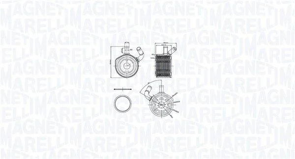 Oil Cooler, engine oil MAGNETI MARELLI 350300002900