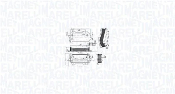 Arrefecedor de óleo, óleo do motor MAGNETI MARELLI 350300003000