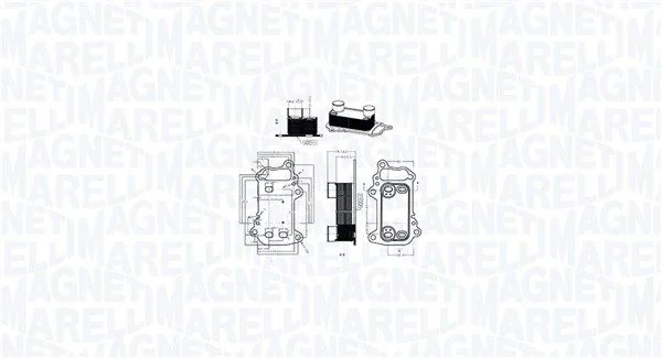 Oil Cooler, engine oil magneti marelli 350300003900
