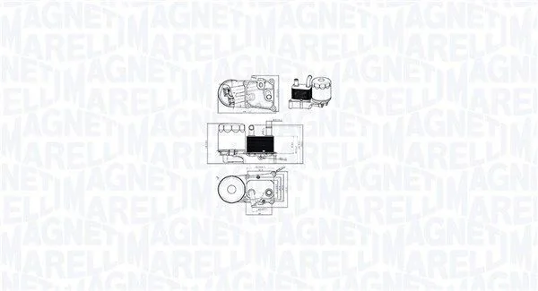 Arrefecedor de óleo, óleo do motor MAGNETI MARELLI 350300004200