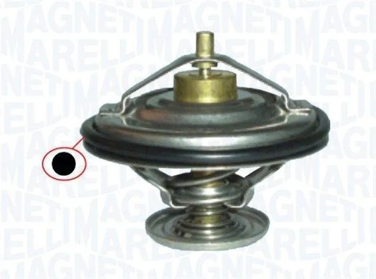 316 MAGNETI MARELLI 352317100120