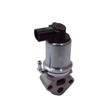 Válvula EGR MAGNETI MARELLI 571822112014