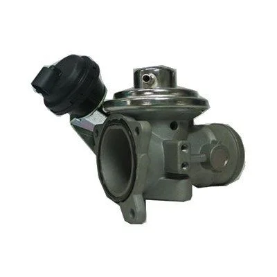 Válvula EGR MAGNETI MARELLI 571822112061