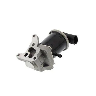 Válvula EGR MAGNETI MARELLI 571822112068