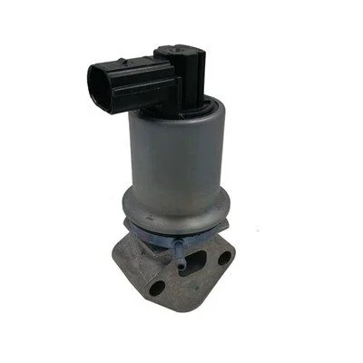 EGR Valve MAGNETI MARELLI 571822112071