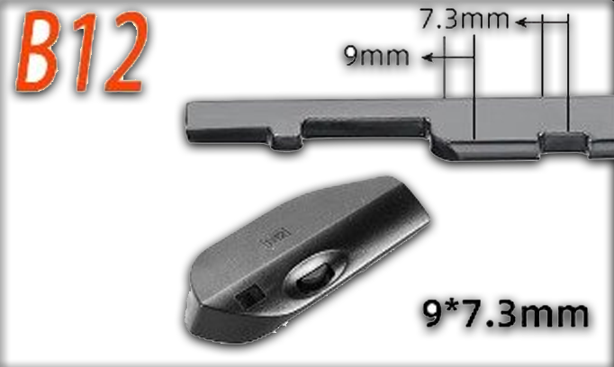 B12